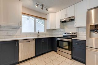 Photo 7: 313 28 Avenue NE in Calgary: Tuxedo Park Semi Detached (Half Duplex) for sale : MLS®# A2079035