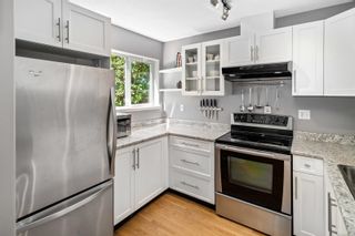 Photo 4: 1646 Myrtle Ave in Victoria: Vi Oaklands Row/Townhouse for sale : MLS®# 877528
