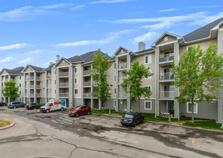 Main Photo: 3122 1620 70 Street SE in Calgary: Applewood Park Apartment for sale : MLS®# A2044523