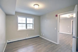 Photo 15: 302 2000 Applevillage Court in Calgary: Applewood Park Apartment for sale : MLS®# A1228911