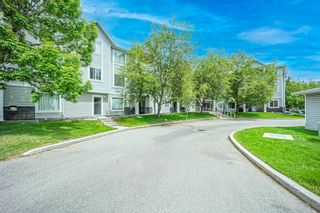 Photo 1: 212 3212 Valleyview Park SE in Calgary: Dover Apartment for sale : MLS®# A1116209