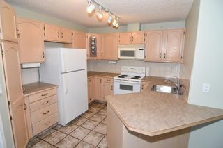 Photo 13: 319 165 Manora Place NE in Calgary: Marlborough Park Apartment for sale : MLS®# A1246551