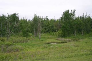 Photo 13: Lot 17 Con 2 in Amaranth: Rural Amaranth Property for sale : MLS®# X4680333