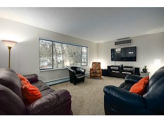 Photo 3: 21078 GLENWOOD Avenue in Maple Ridge: Northwest Maple Ridge House for sale : MLS®# V1103012