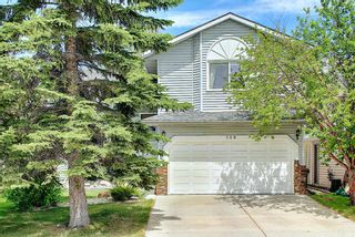 Photo 41: 120 Rivergreen Crescent SE in Calgary: Riverbend Detached for sale : MLS®# A1206073