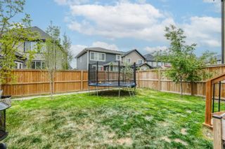 Photo 41: 95 Masters Place SE in Calgary: Mahogany Detached for sale : MLS®# A1224347