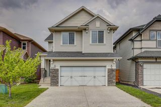 Main Photo: 2159 Hillcrest Green SW: Airdrie Detached for sale : MLS®# A2137353