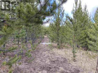 Photo 5: Lot B LONE BUTTE HORSE LAKE ROAD in 100 Mile House: Vacant Land for sale : MLS®# R2870362
