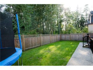 Photo 11: 17358 3RD Avenue in Surrey: Pacific Douglas House for sale in "Summer Field - Douglas Crossing" (South Surrey White Rock)  : MLS®# F1422324