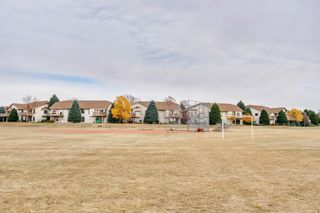 Photo 44: 16 Douglas Woods View SE in Calgary: Douglasdale/Glen Detached for sale : MLS®# A1041640