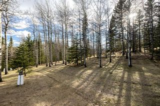 Photo 49: 23 Williams Place: Bragg Creek Detached for sale : MLS®# A1215678