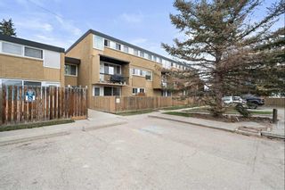 Photo 6: 103 607 69 Avenue SW in Calgary: Kingsland Apartment for sale : MLS®# A2125527