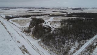 Main Photo: On Range Road 234: Rural Ponoka County Agriculture for sale : MLS®# A2116937