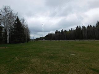 Photo 30: 84078 Highway 591: Rural Clearwater County Detached for sale : MLS®# A1111743
