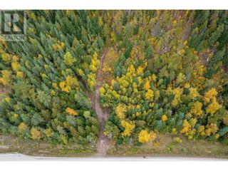 Photo 29: 7788 Trans Canada Highway in Revelstoke: Vacant Land for sale : MLS®# 10273662