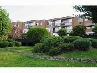 Photo 1: 11 11900 228TH Street in Maple Ridge: East Central Condo for sale : MLS®# V959863