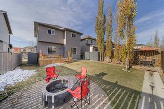 Photo 27: 18 Royal Birch Way NW in Calgary: Royal Oak Detached for sale : MLS®# A2022837