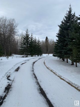 Photo 31: 8002 45th Street: Rural Wetaskiwin County House for sale : MLS®# E4321051