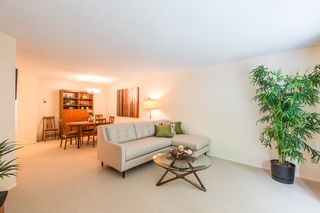 Photo 3: 3313 FLAGSTAFF Place in Vancouver: Champlain Heights Townhouse for sale in "COMPASS POINT" (Vancouver East)  : MLS®# R2074045