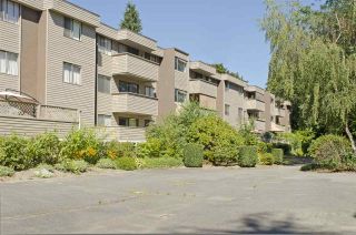 Photo 1: 34 2445 KELLY Avenue in Port Coquitlam: Central Pt Coquitlam Condo for sale in "ORCHARD VALLEY" : MLS®# R2103333
