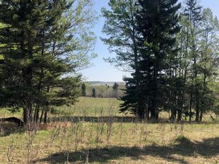 Photo 11: 0 223 Avenue W: Rural Foothills County Residential Land for sale : MLS®# A2037670