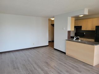 Photo 10: 308 635 57 Avenue SW in Calgary: Windsor Park Apartment for sale : MLS®# A1168551
