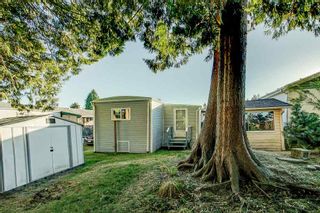 Photo 19: 33 19697 POPLAR Drive in Pitt Meadows: Central Meadows Manufactured Home for sale in "Meadow Highlands Co-Op MHP" : MLS®# R2504574