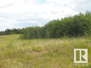 Photo 5: RR60 Twp 565: Rural St. Paul County Land Commercial for sale : MLS®# E4315897