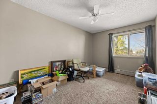 Photo 14: 224 6108 53 Street: Olds Apartment for sale : MLS®# A2127287
