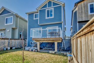 Photo 44: 232 Evansborough Way NW in Calgary: Evanston Detached for sale : MLS®# A2053484
