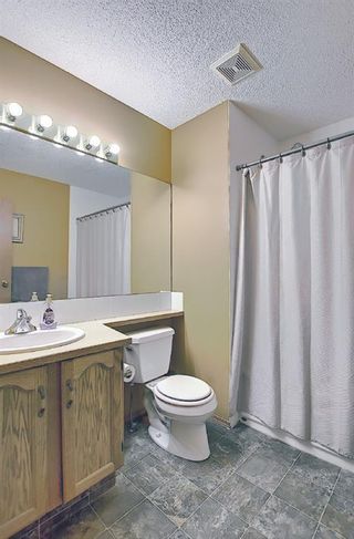 Photo 29: 18388 Chaparral Street SE in Calgary: Chaparral Detached for sale : MLS®# A1113295