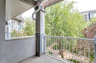 Photo 23: 308 2422 Erlton Street SW in Calgary: Erlton Apartment for sale : MLS®# A2051088