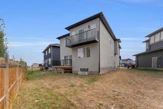 Photo 42: 136 Sandpiper Landing: Chestermere Detached for sale : MLS®# A2123575