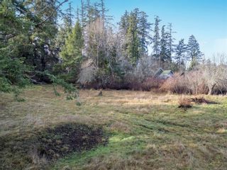 Photo 18: 3632 S Island Hwy in Courtenay: CV Courtenay South Land for sale (Comox Valley)  : MLS®# 951089