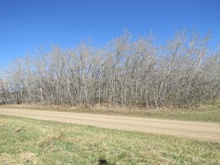 Photo 3: 5311 53 Street: Mirror Residential Land for sale : MLS®# A2130601
