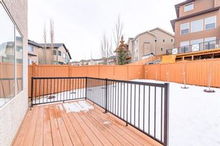 Photo 45: 53 Sherwood Circle NW in Calgary: Sherwood Detached for sale : MLS®# A2024286