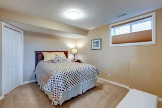 Photo 37: 356 Rainbow Falls Way: Chestermere Detached for sale : MLS®# A2016347