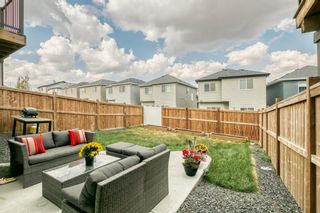 Photo 42: 161 Nolanhurst Crescent NW in Calgary: Nolan Hill Detached for sale : MLS®# A1258292