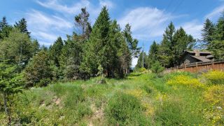 Photo 9: Lot 35 TIMBER RIDGE ROAD in Windermere: Vacant Land for sale : MLS®# 2472037