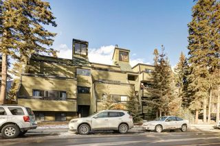 Photo 17: 403 410 Buffalo Street: Banff Apartment for sale : MLS®# A2124287