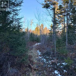 Photo 7: 18474 Highway 103 in Middlewood: Vacant Land for sale : MLS®# 202401030