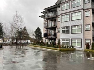 Photo 2: 367 27358 32 Avenue in Langley: Aldergrove Langley Condo for sale in "THE GRAND AT WILLOW CREEK" : MLS®# R2720152