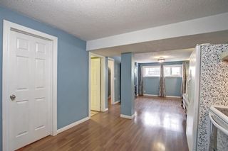 Photo 21: 4727 19 Avenue SE in Calgary: Forest Lawn Semi Detached for sale : MLS®# A1190870