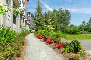 Photo 32: 401 2242 WHATCOM Road in Abbotsford: Abbotsford East Condo for sale in "WATERLEAF" : MLS®# R2729587