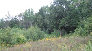 Photo 10: Dawson Road in Ellershouse: Hants County Vacant Land for sale (Annapolis Valley)  : MLS®# 202317663