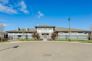 Photo 46: 298 Mahogany Manor SE in Calgary: Mahogany Detached for sale : MLS®# A1256471