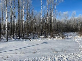 Photo 5: 15 Poplar Street in Roseau River: Vacant Land for sale : MLS®# 202401065