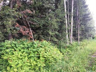 Photo 14: 86 Gilbert Street in Big River: Lot/Land for sale : MLS®# SK905747