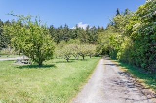Photo 21: 379 Wain Rd in North Saanich: NS Deep Cove House for sale : MLS®# 926767