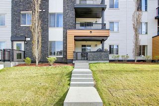Photo 14: 3104 1317 27 Street SE in Calgary: Albert Park/Radisson Heights Apartment for sale : MLS®# A1112856